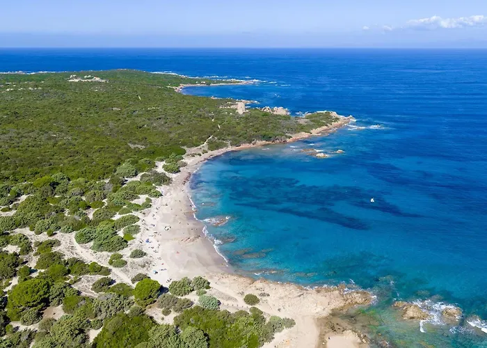 Cozy With Shared Pool *